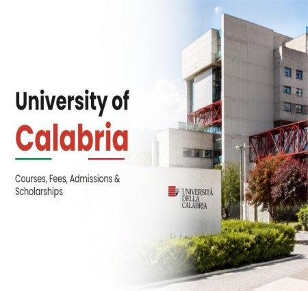 What Is the University of Calabria Known For?