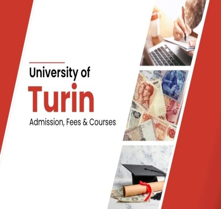 What Is University of Turin Known For?