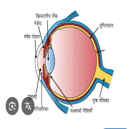 आओ जानू मानव नेत्र किसे कहते हैं