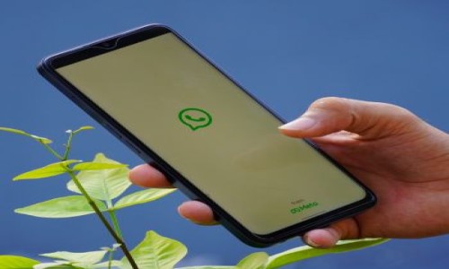 WhatsApp Business API