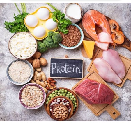 Protein ke karya