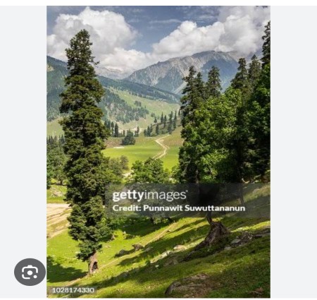 Jammu Kashmir