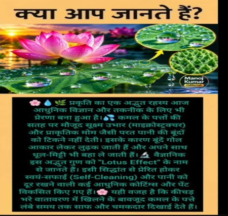 क्या आप जानते हैं?