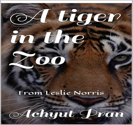 A Tiger in the zoo