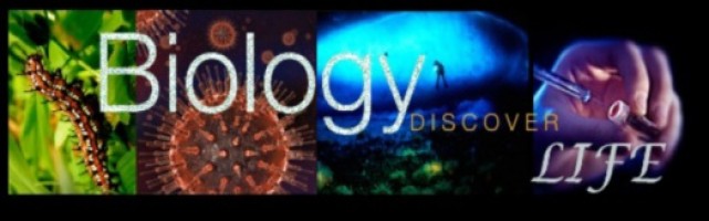  Sanskriti Digital content writer Contact