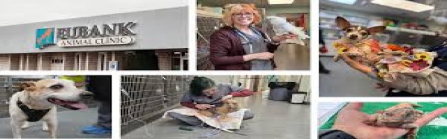  Free Classified Ads in India Contact