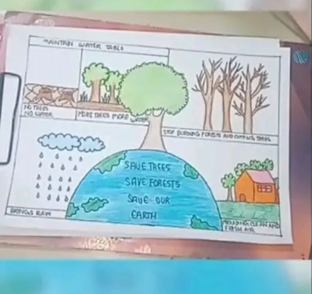 The Uses of Forests
