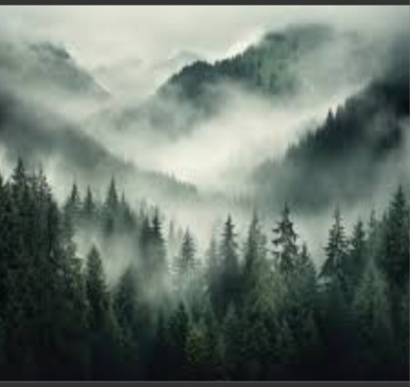 FOG