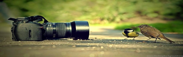 About Prateek photography studio