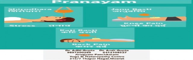 About CURE FROM AYURVEDA