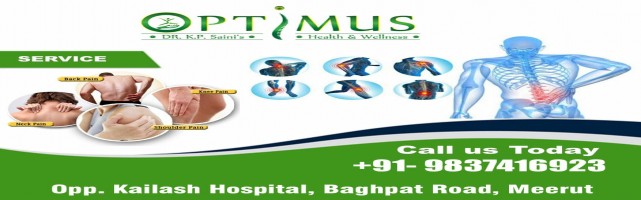  Optimus Dr  K P Saini Contact