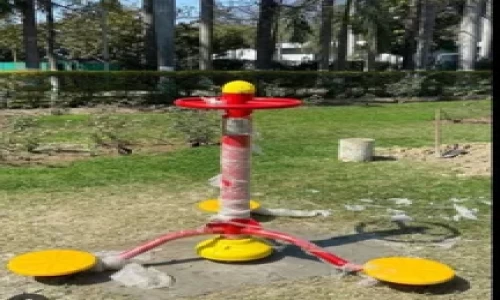 Outdoor Gym Triple Twister