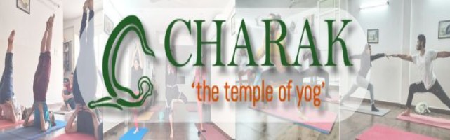  Charak Yoga Ashram   The Temple of Yog Contact