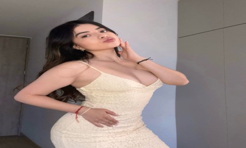 wefru-Call Gils In Panaji Goa 9289098122 Escort Service In Goa